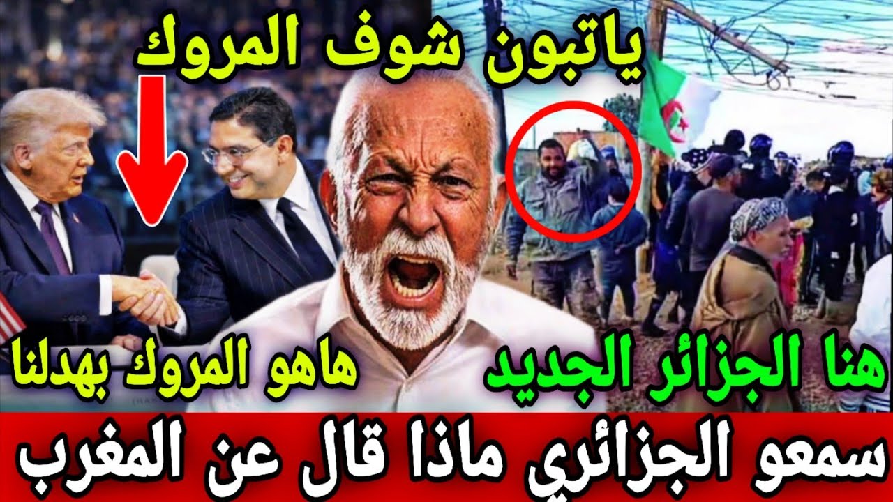 Один алжирец сделал шокирующее заявление: «Посмотри на Марокко, Теббун! Посмотри, до чего дошло М...