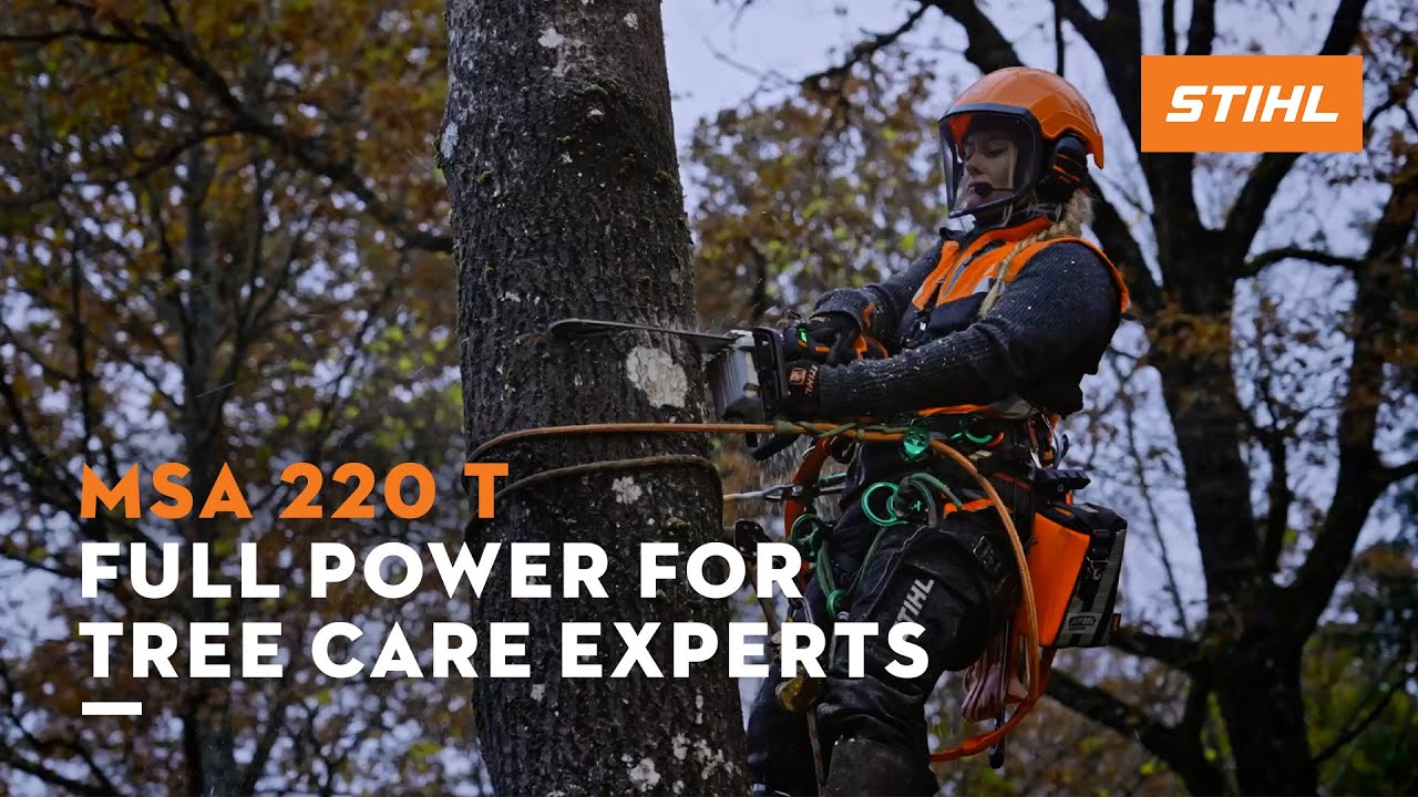 The strong battery chainsaw MSA 220 T | STIHL