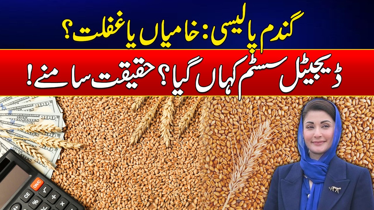 Aggregator Shortage Leaves Farmers Helpless in Wheat Procurement Policy | News Update | Rohi