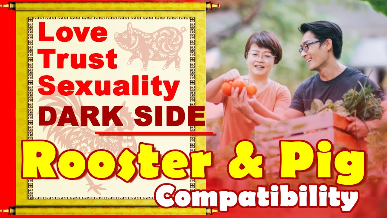 Rooster and Pig Compatibility in Love, Life, Trust, Intimacy | Rooster and Pig Chinese Compatibility