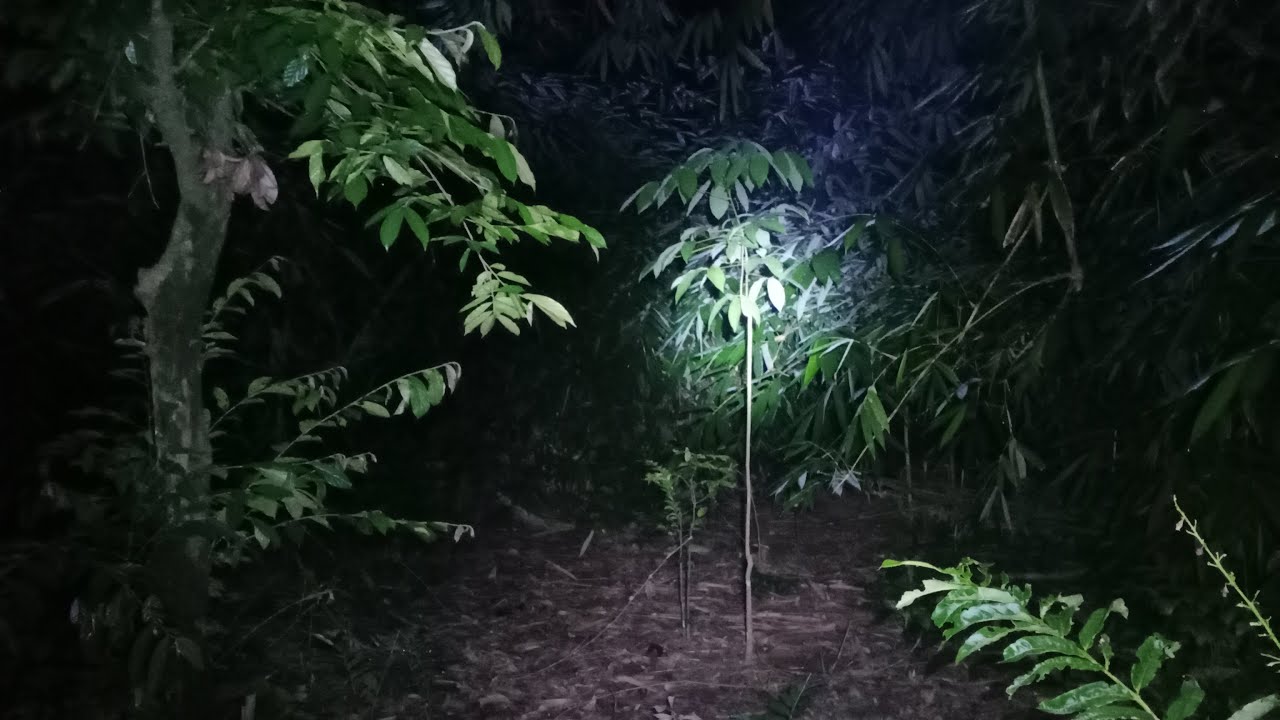 🔴Live Misteri Mencari Kuntilanak Di Tempat Angker