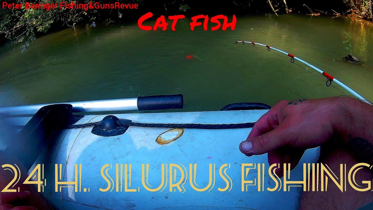24 Hour Silurus/Cat Fishing