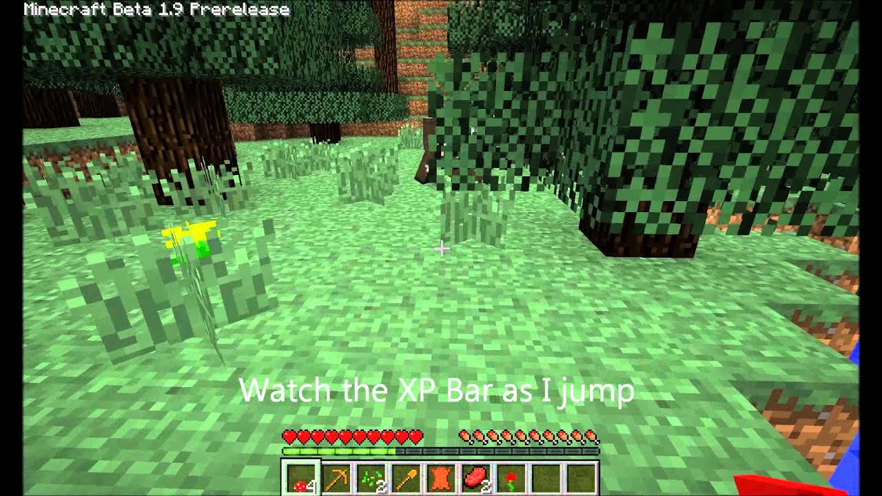 Minecraft XP Bar Bug Pre-Release 1.9