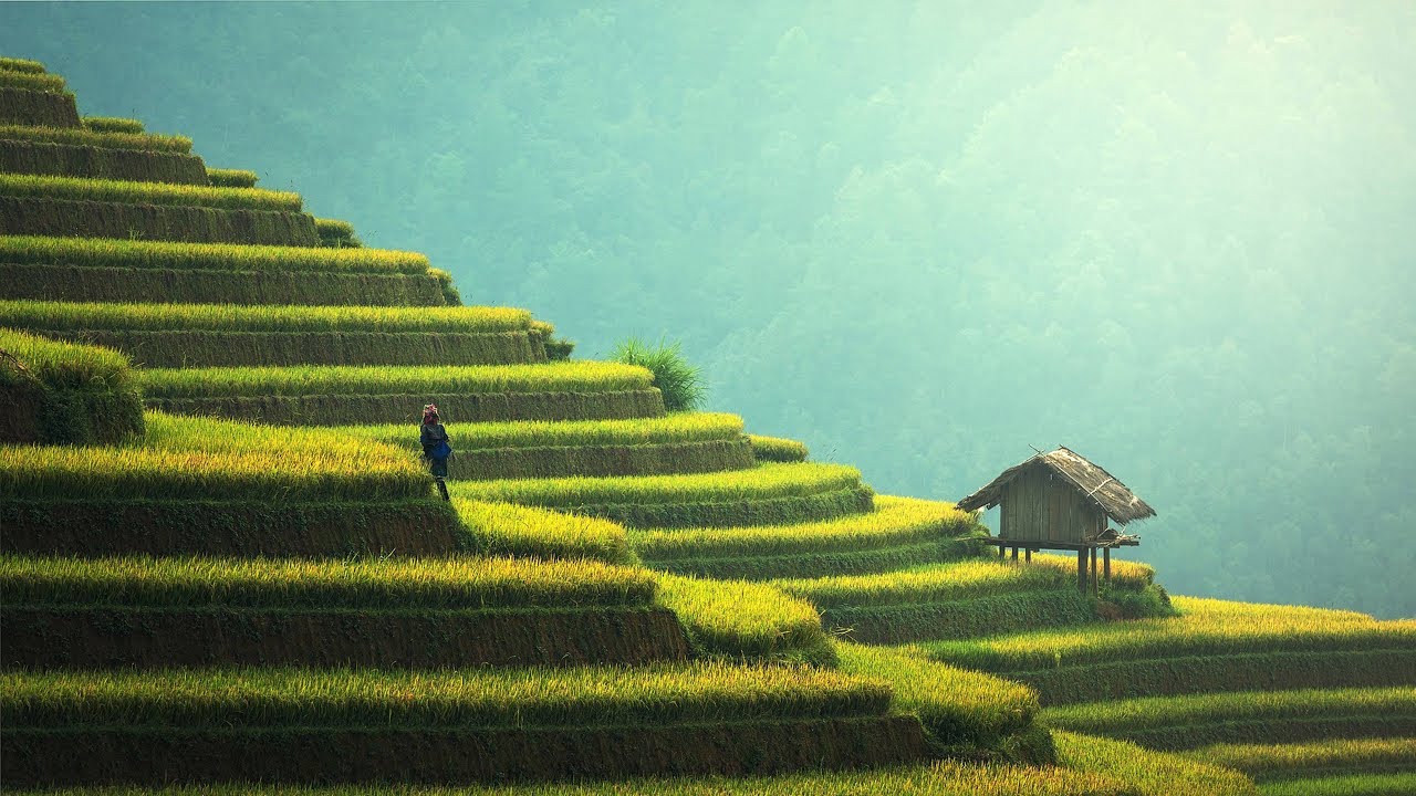 Are we losing ground to foreigners?
