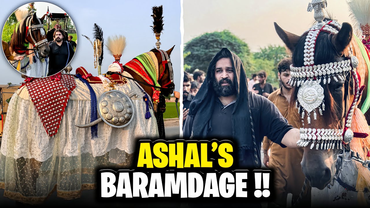 ASHAL’s Baramdage||29 Moharaam|| Chiniot