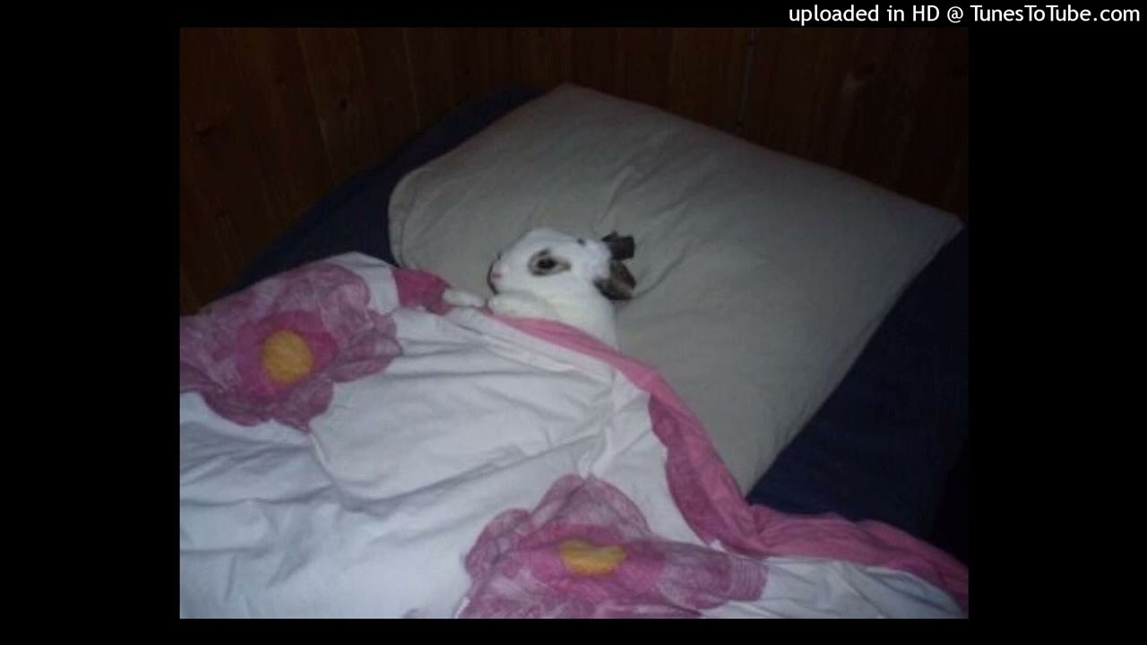 [FREE] laura les x scenecore x sample x dance type beat 