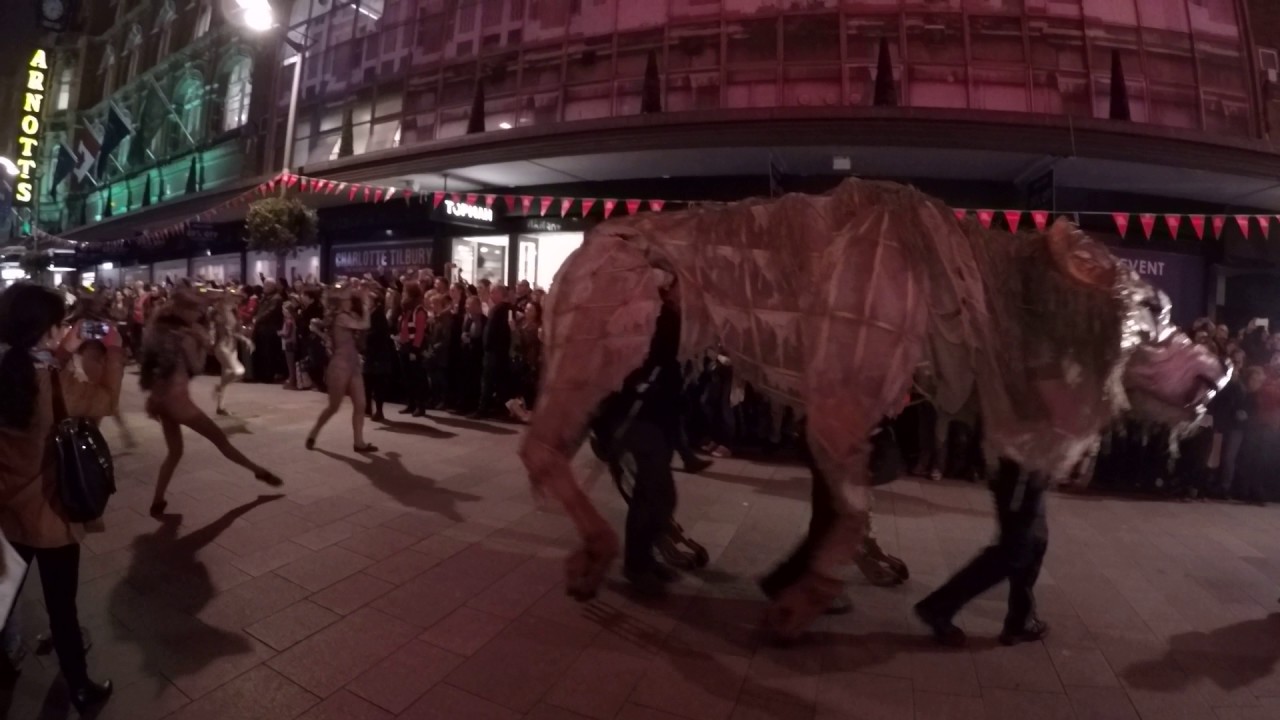 Macnas Halloween Parade, Dublin 2016