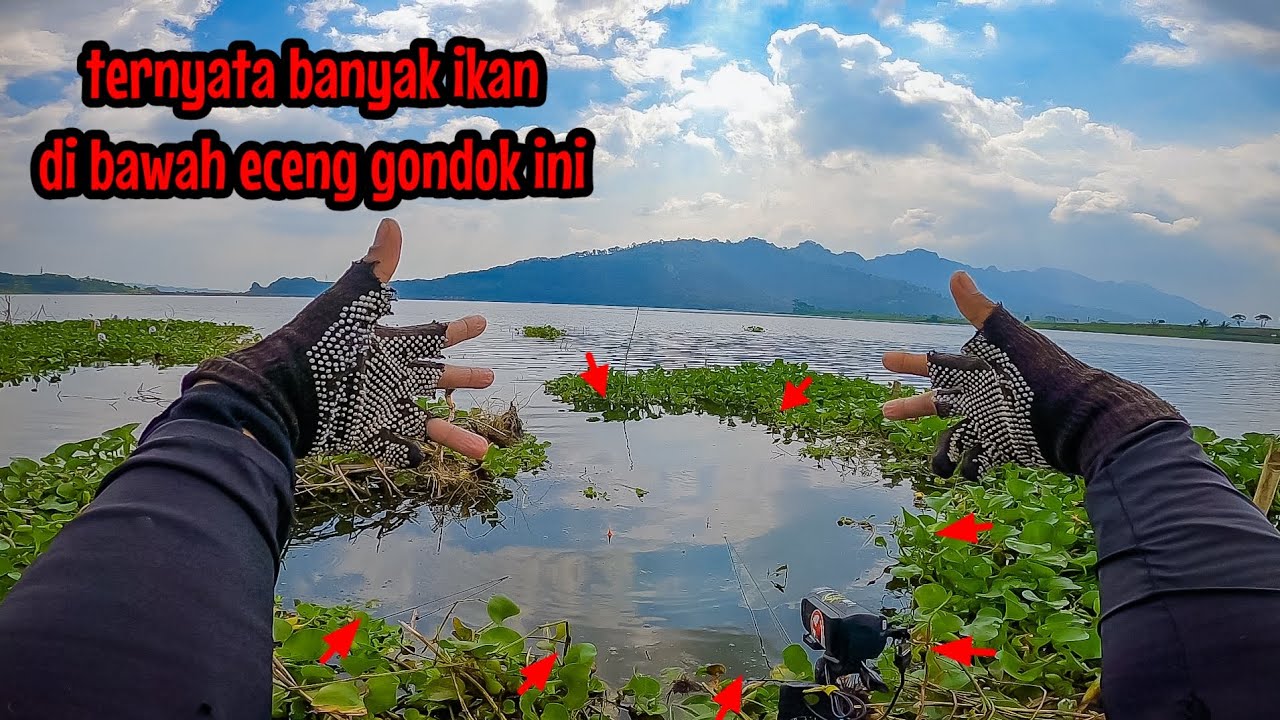 HAMPIR TAK PERCAYA‼️GESER SEDIKIT MALAH NEMU SARANGNYA||mancing ikan nila di waduk selorejo ngantang
