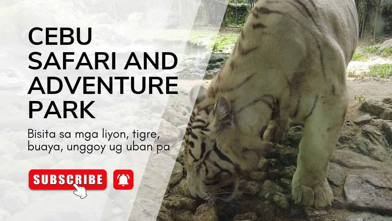 NALINGAW SA PAKIGHIMAMAT SA MGA LEYON, TIGRE, BUAYA UG UBAN PA!