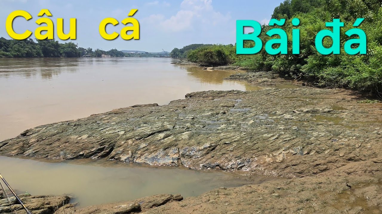 Câu  cá Bãi mới  tuyệt đẹp  cá  mập  Ú Nu  luôn .....