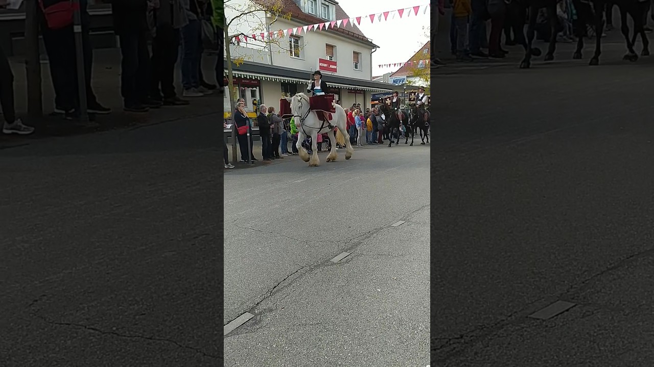 Berittener Fanfarenzug Altshausen beim Fuhrmannstag Schussenried 03.10.22