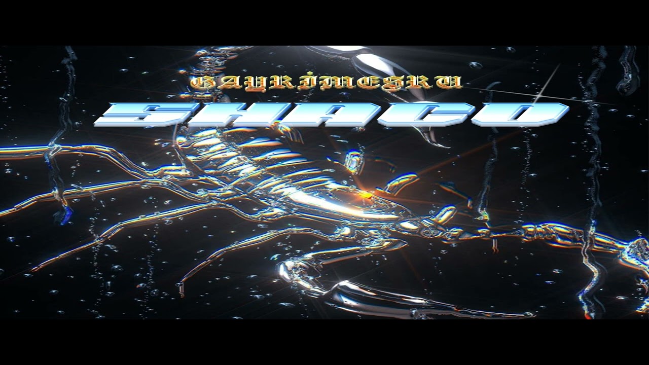 [SATILDI] - Deep House Type Beat - ORGANIZE GAYRİMEŞRU Type Beat - [EZBER] - (Prod BY AGRO)