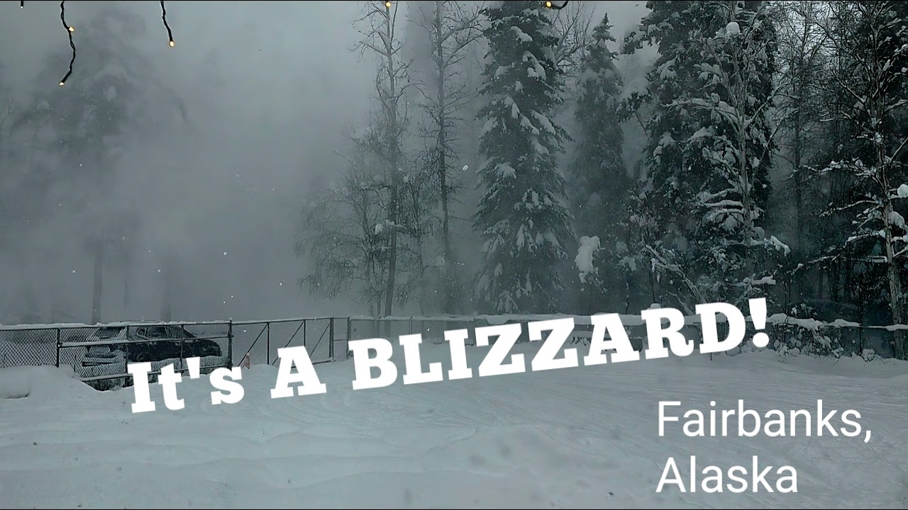 So much snow and back to work after the flu | Alaskan Bears Vlogs