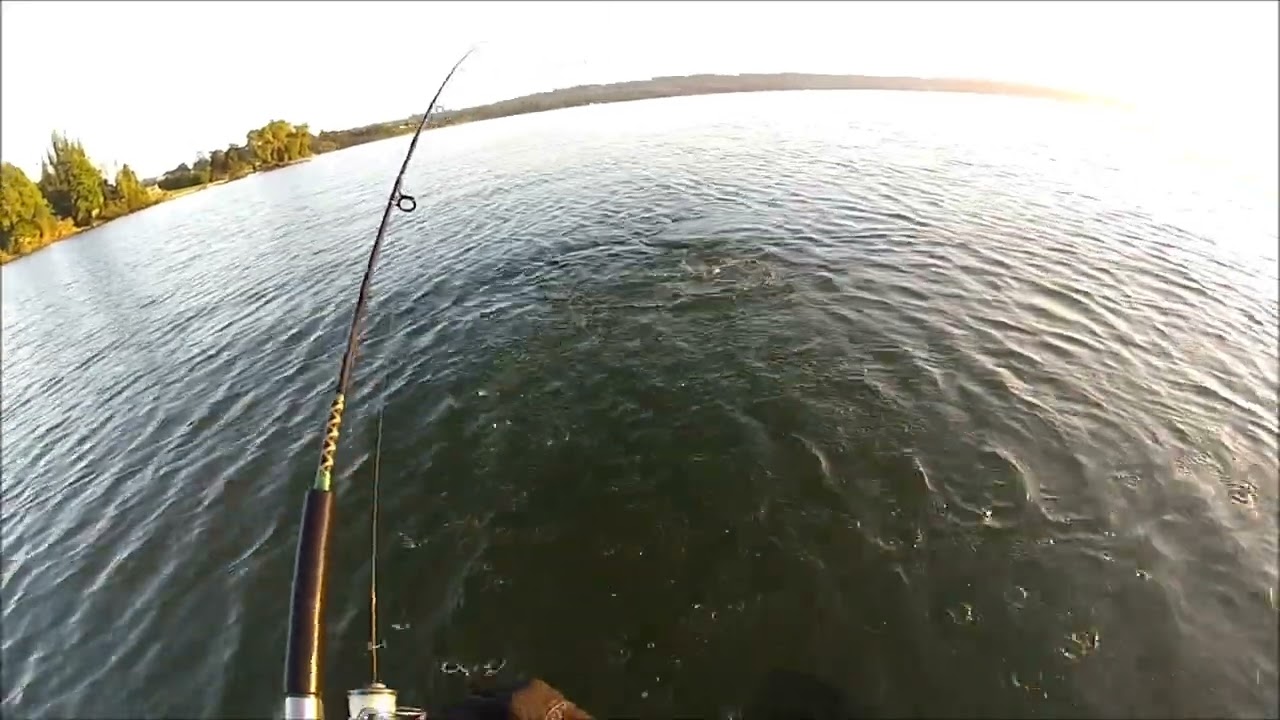 NEW ZEALAND TROUT FISHING WELL WELL WELL THREE HOLES IN THE GROUND