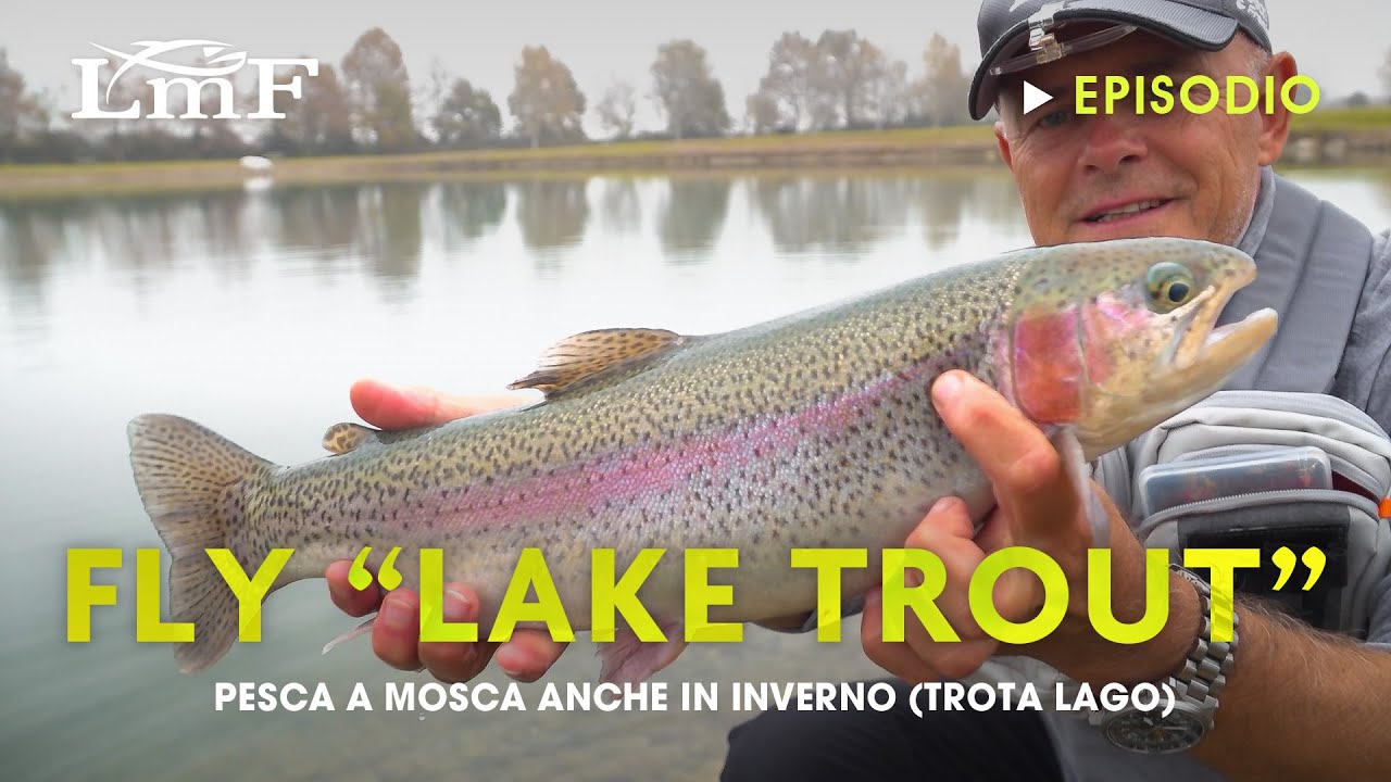 COME PESCARE (a mosca) TROTA LAGO... d'INVERNO! ABC del Fly 