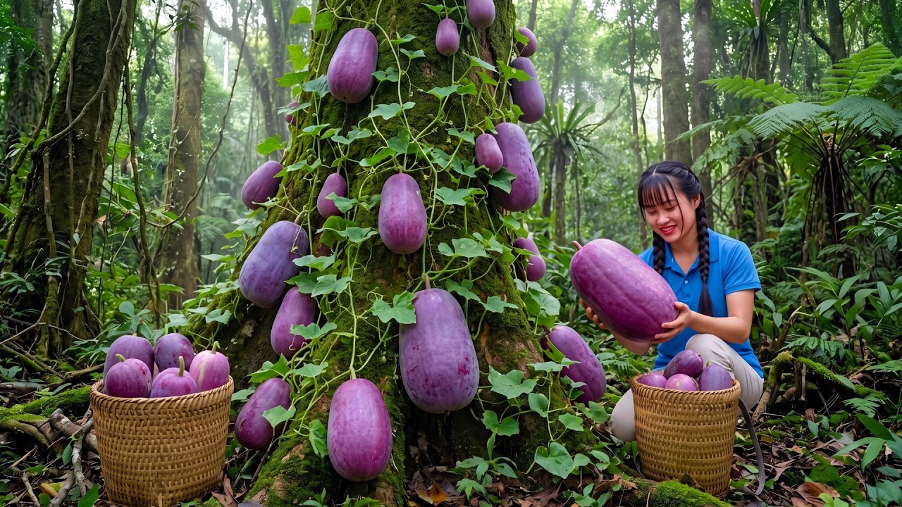 Harvesting 5000+ Giant Winter Melons From The Deep Forest To Make Jelly And Sell At The Market