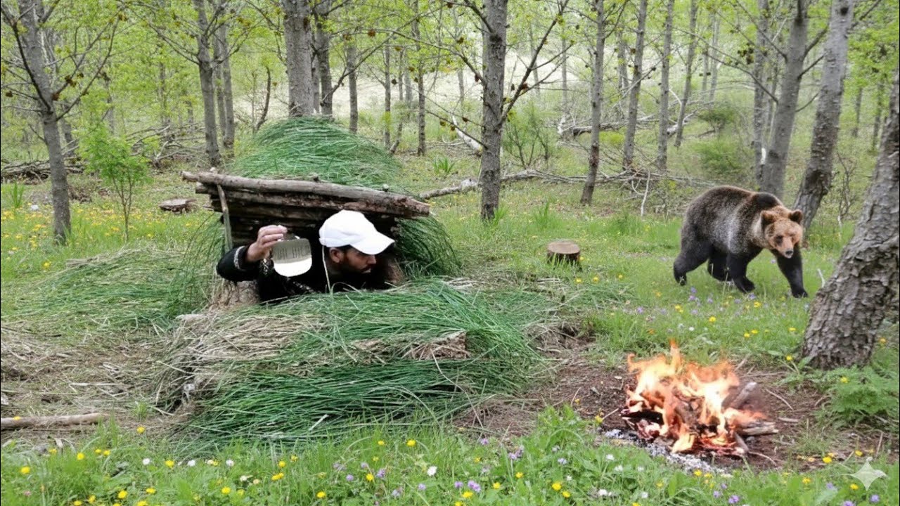 Building a secret shelter in the jungle to survive and hide from bears: lifestyles