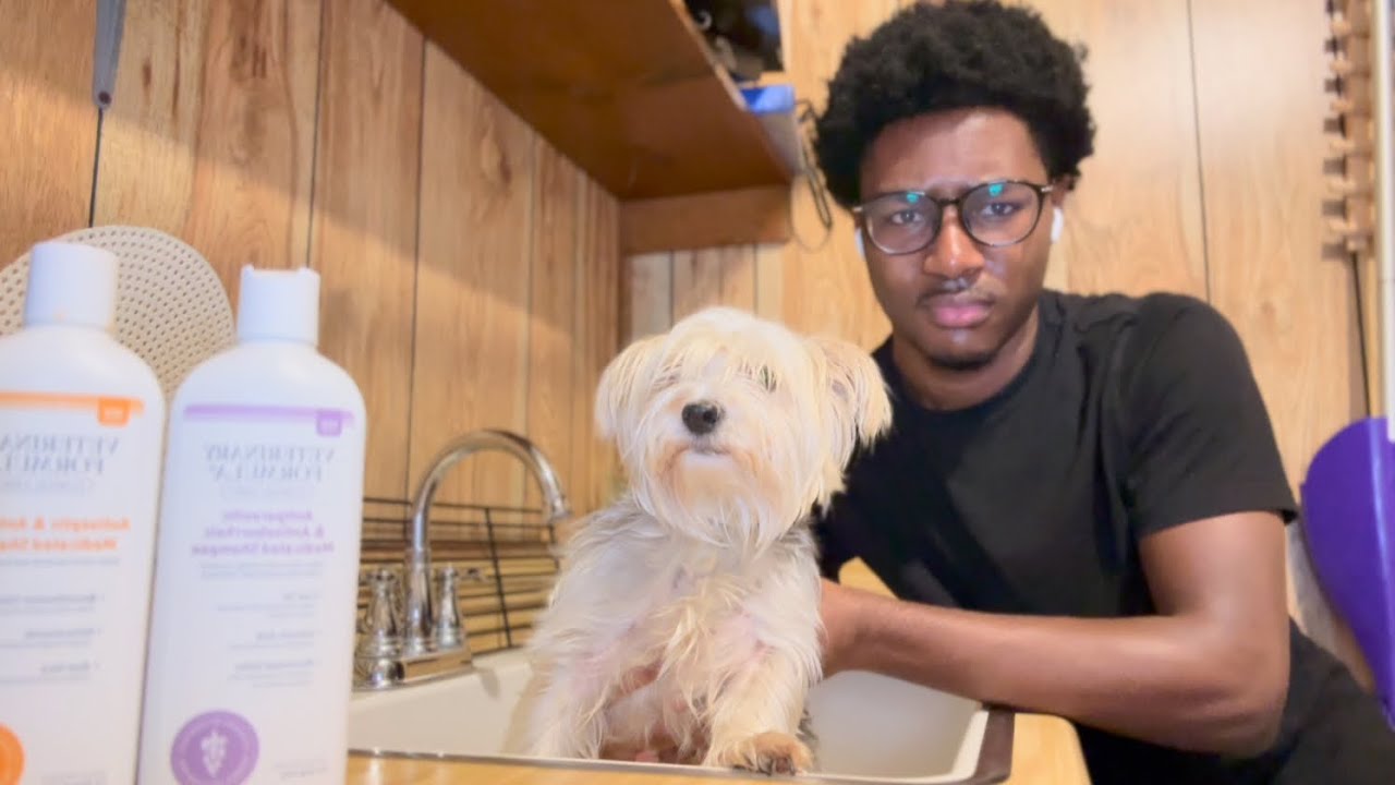 Bath Time With Zeus… and It Did NOT Go as Planned I Chill Day At Home I VLOGMAS DAY 10