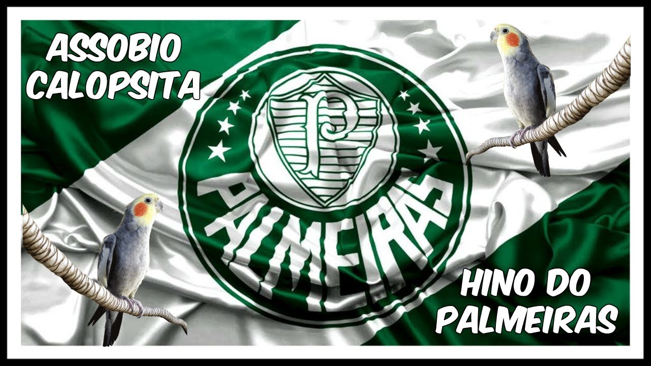 ASSOBIO CALOPSITA - HINO DO PALMEIRA