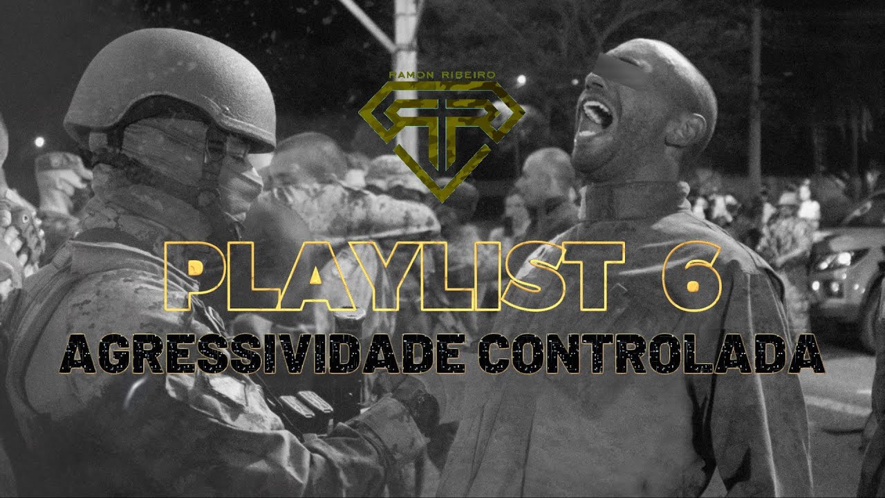 PLAYLIST 6 - Agressividade Controlada (Motivacional/NerdHits)