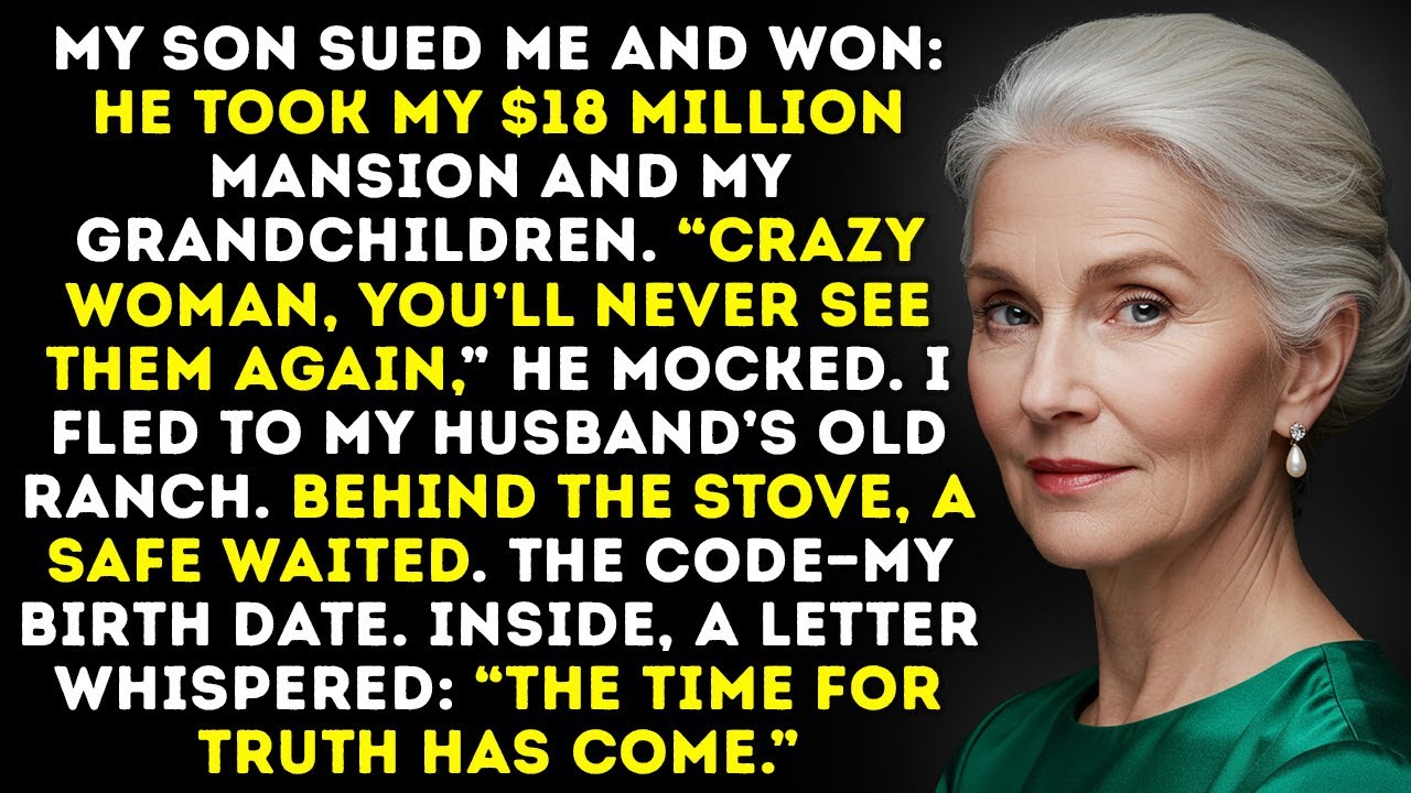 I Lost 18 Million Dollars and My Grandkids in Court — Then I Found Something in My Husband’s Safe…