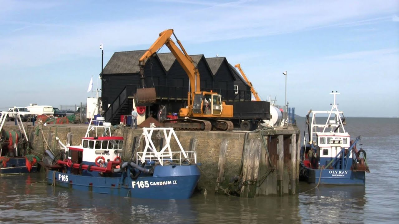 Cockle-fishing: Cardium Shellfish, Whitstable