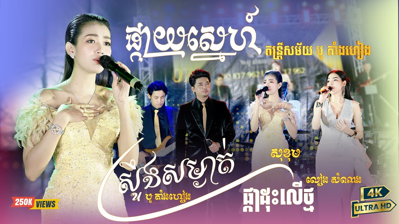 អកកេះកំដរភ្ញៀវពិរោះៗ ពី តន្ត្រីសម័យ បូ តាំងហៀង  l  ផ្កាដុះលើថ្ម  l  ស្ទឹងសម្ងាត់  l  ផ្កាយស្នេហ៍ 4K