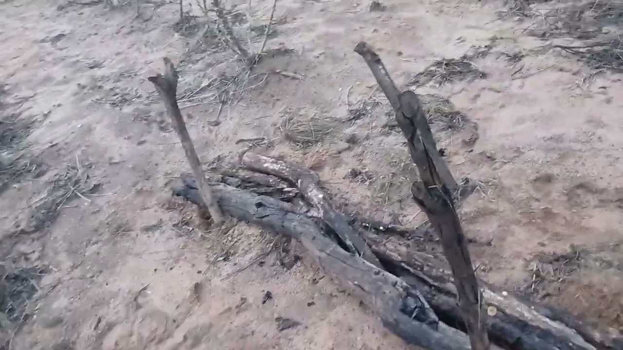 @fazendacarnauba  contendo a erosão no terreno 