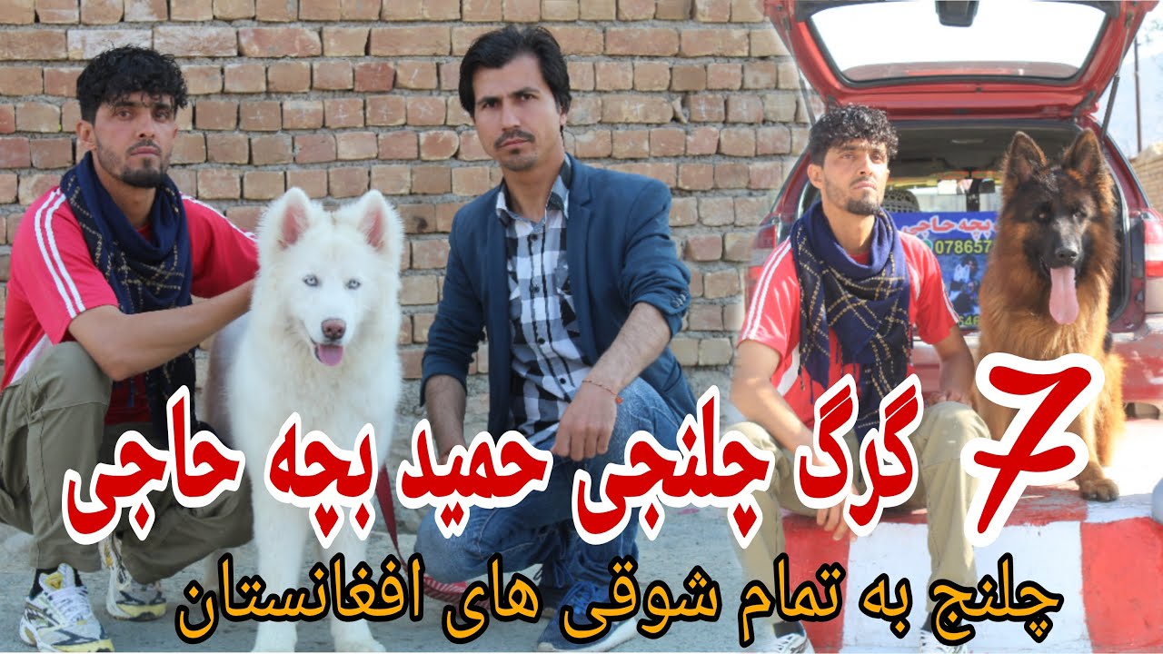 شوقی. چلنج حمید بچه حاجی به حاجی بشیر تهیه مسکن
