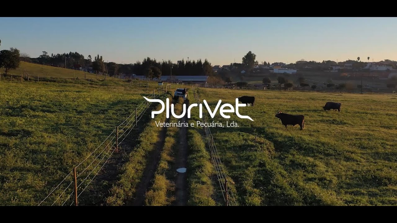 Plurivet - V&iacute;deo Institucional