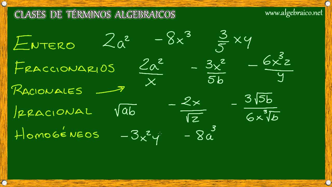 Algebraico.net - Clases de Términos Algebraicos