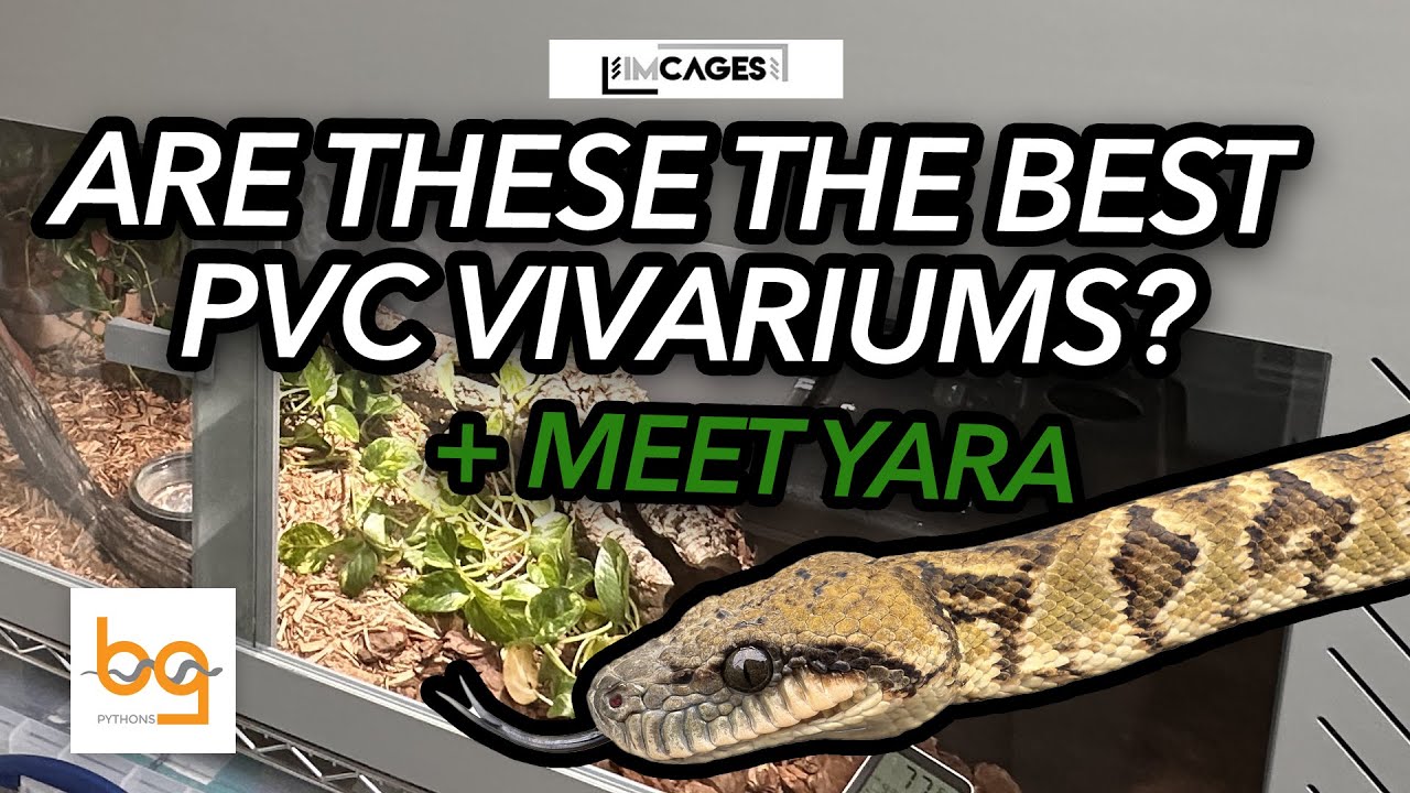 IMCages Vivarium Review | Premium PVC Reptile Enclosures from Poland