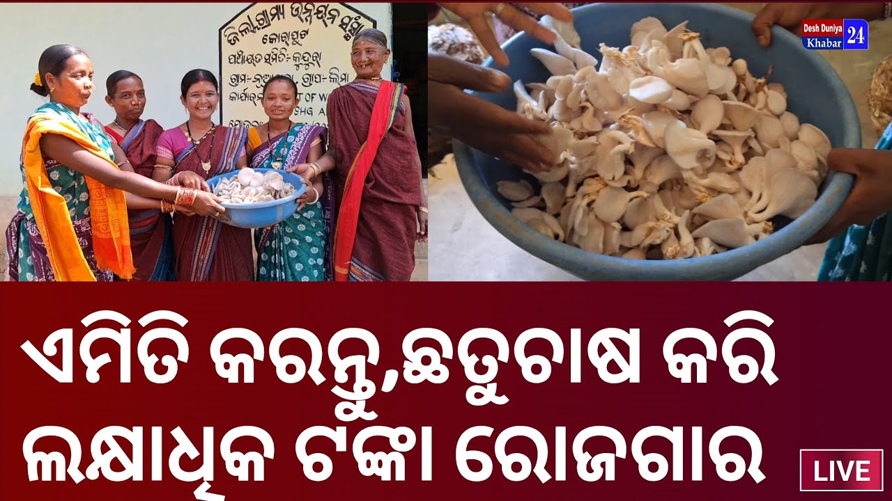 ଛତୁଚାଷ କରି ଲକ୍ଷାଧିକ ଟଙ୍କା ରୋଜଗାର କରୁଛନ୍ତି ମହିଳା #Kundra #Koraput #ଛତୁଚାଷ #kotpad@DeshDuniyaKhabar24 