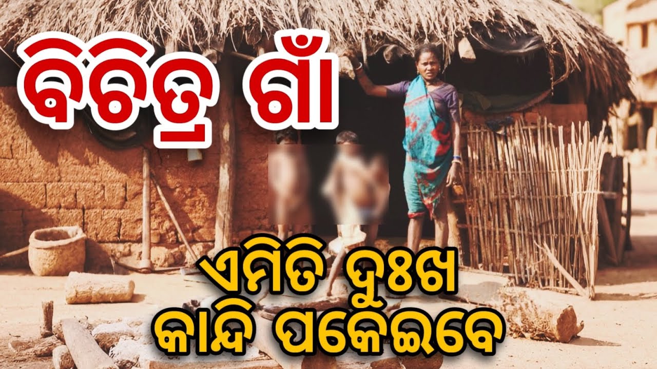 ଜଙ୍ଗଲ ମଝିରେ ଅଦ୍ଭୁତ ଗାଁ | କନ୍ଧମାଳ | Village amidst dense Forest  #kandhamalvlog #onduty  #govtjob #yt