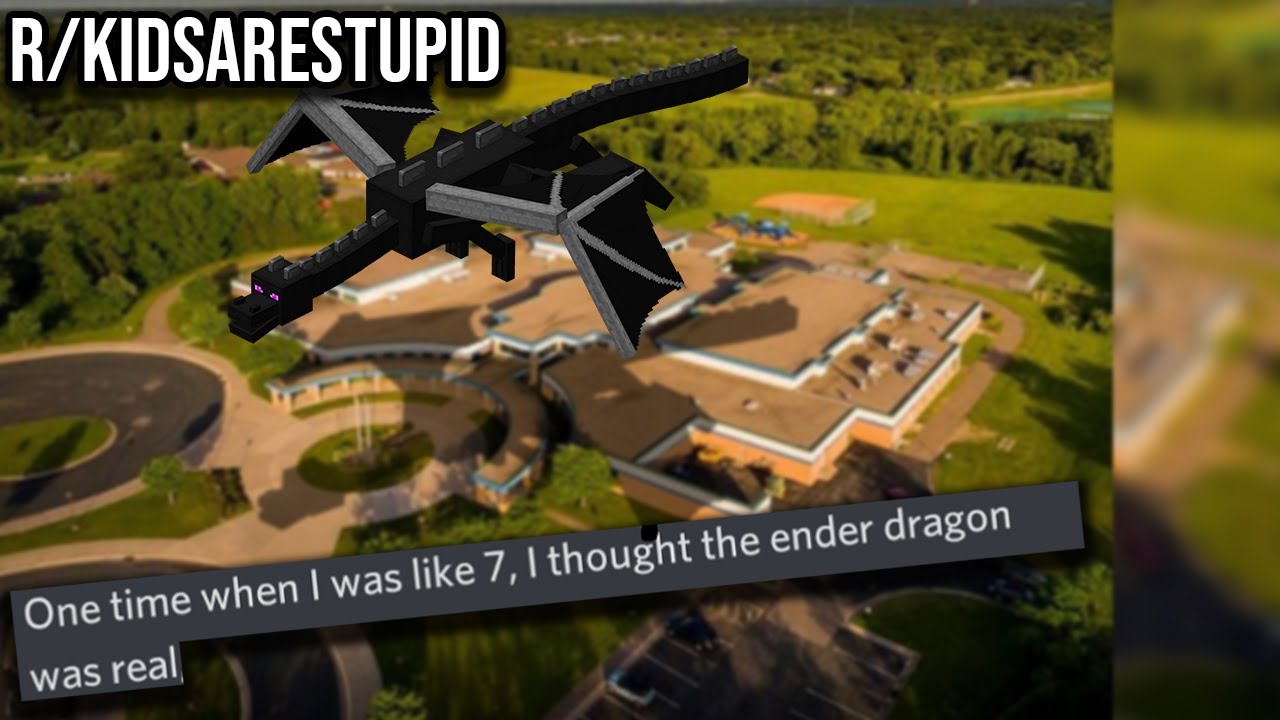 These Kids Are VERY Stupid