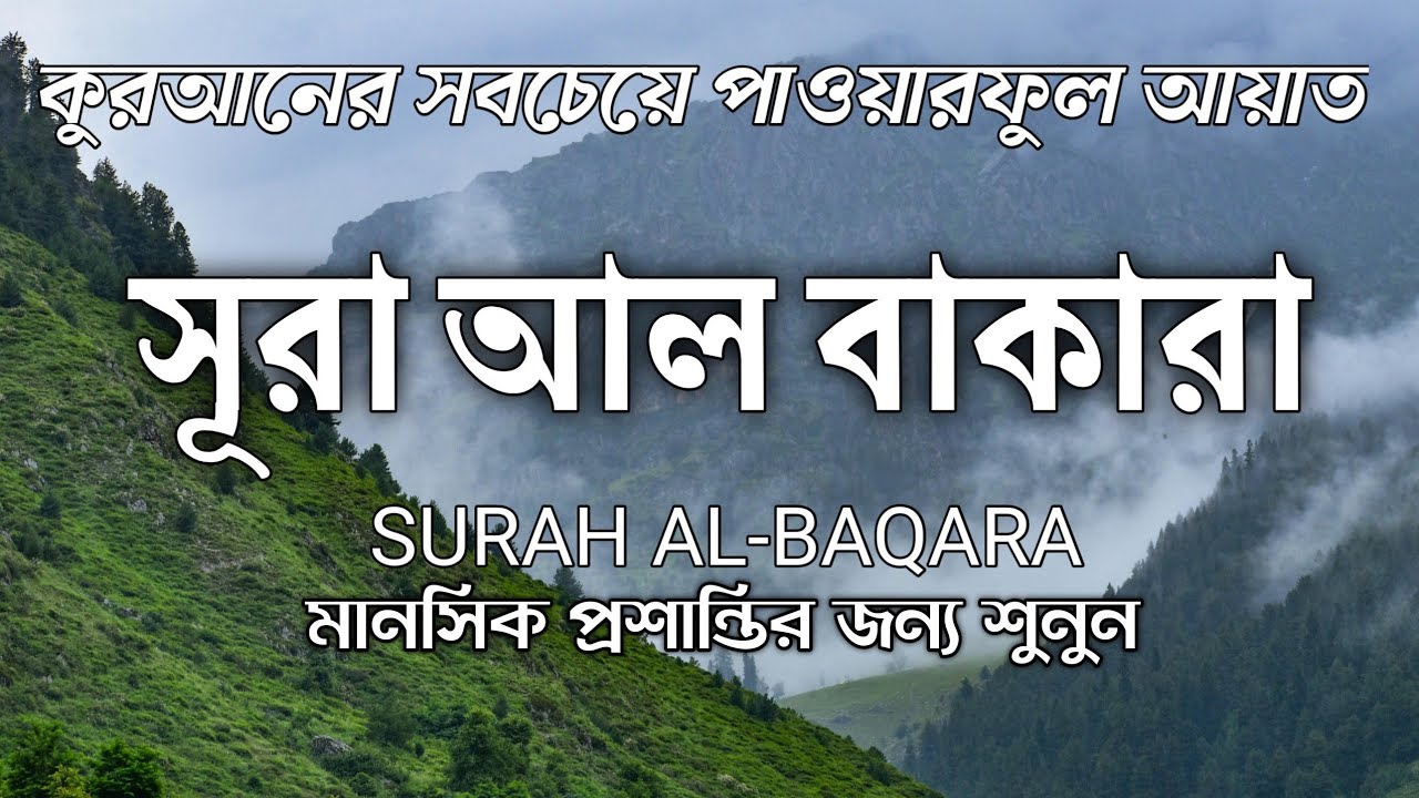 সূরা আল-বাকারা সম্পূর্ণ তেলাওয়াত  বরকত, সুরক্ষা ও হৃদয় প্রশান্তি  Full Surah Al-Baqarah with Peace