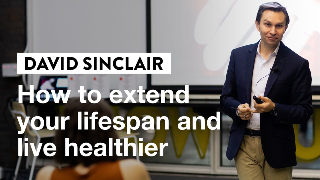 How to Extend Your Lifespan with David Sinclair | IVY Masterclass