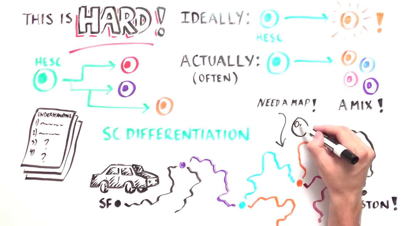 White Board: Degenerative Diseases