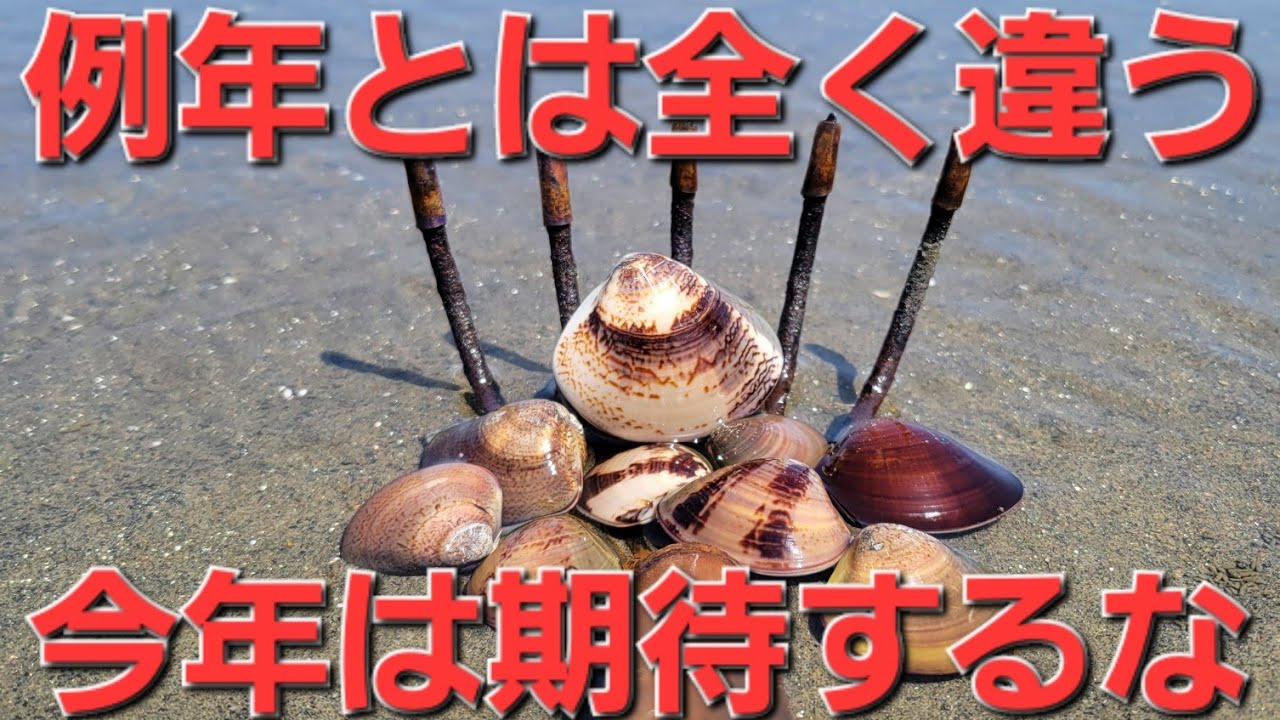 【潮干狩り】三重県津市御殿場海岸がヤバイ事に！早々に帰る地元民続出。GW直前だけど異常です