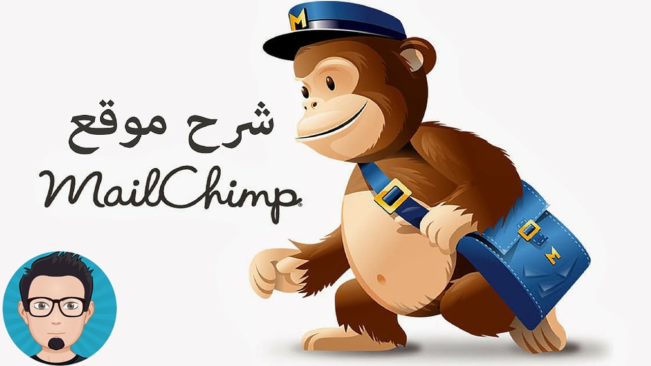 شرح موقع mailchimp