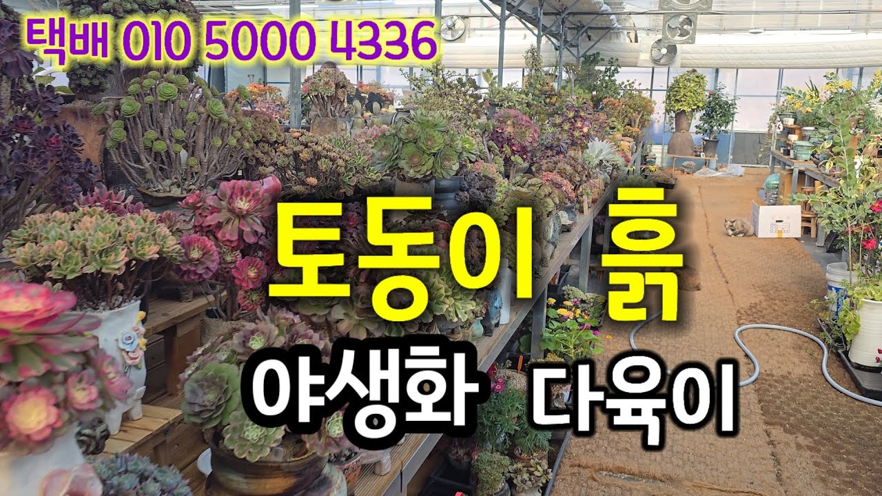 #토동이흙