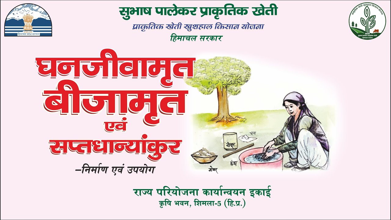घन जीवामृत सप्त धान्यकुर बीजामृत का निर्माण सीखे सुभाष पालेकर द्वारा GhanJivamrit by Subhash Palekar