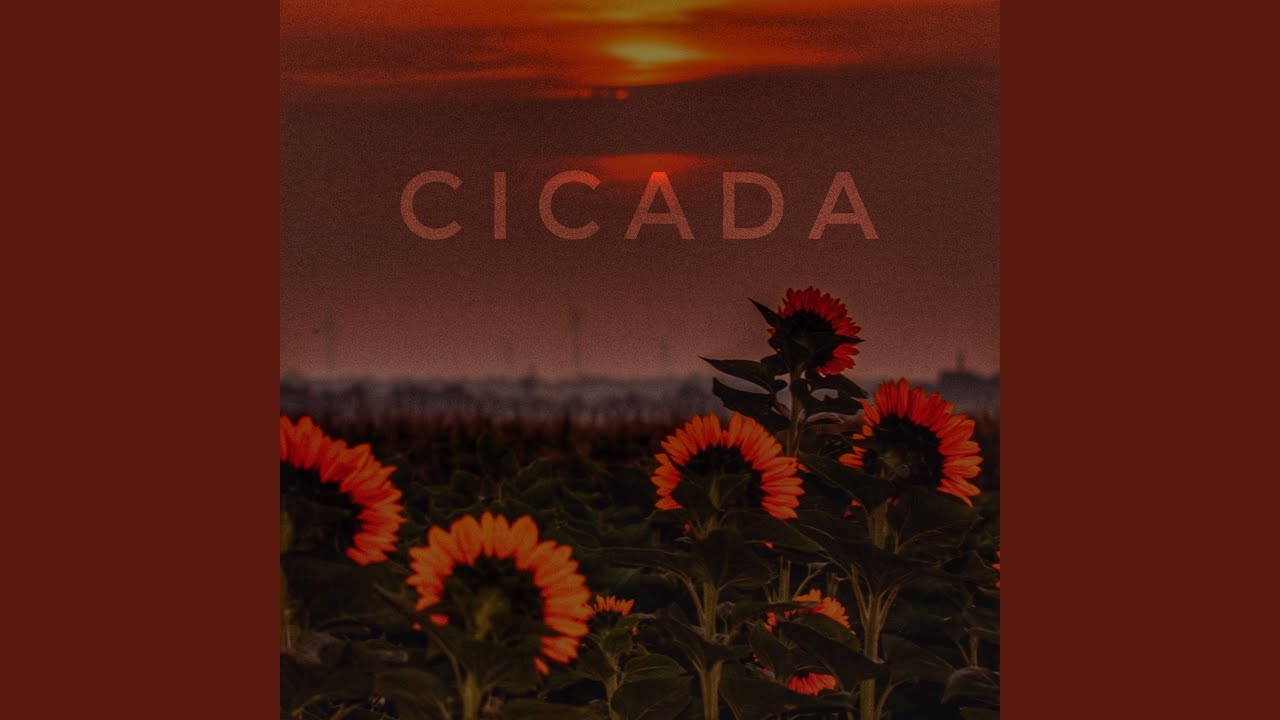 Cicada