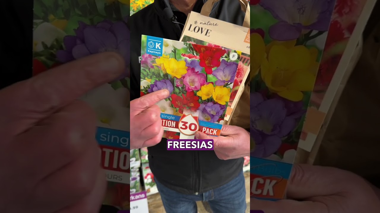 Summer Flowering Bulbs - Planting for the End of March