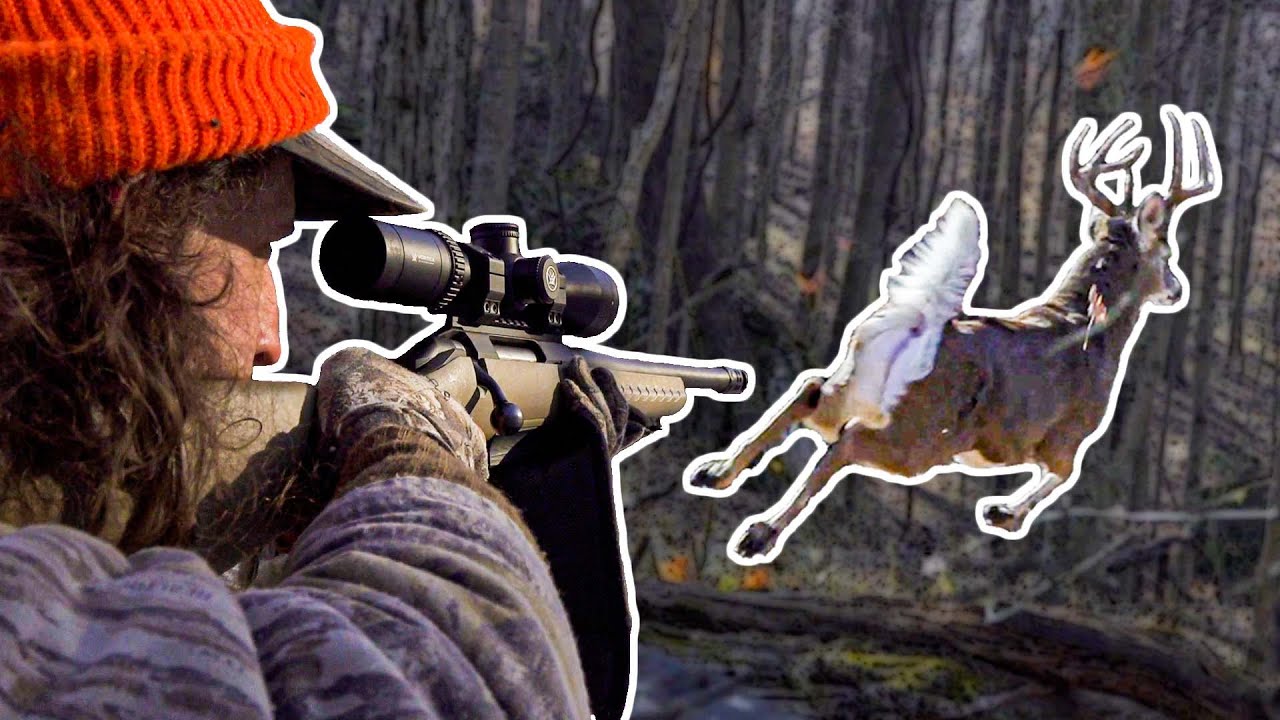 ТОП-5 ОЛЕНЬИХ ЗАГОНОК! - СКИДКА 5 БАКСА!