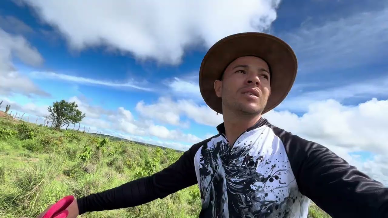 Juntando o gado