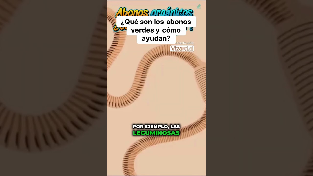 "¿Qué son los abonos verdes y cómo ayudan a tus plantas?"