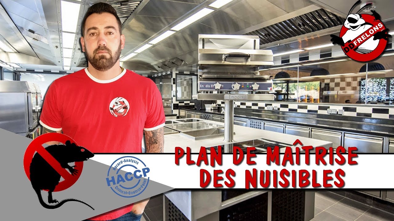 Protéger un restaurant des RATS et BLATTES