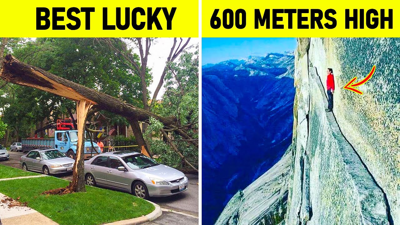 Things That Will Make You Scream 