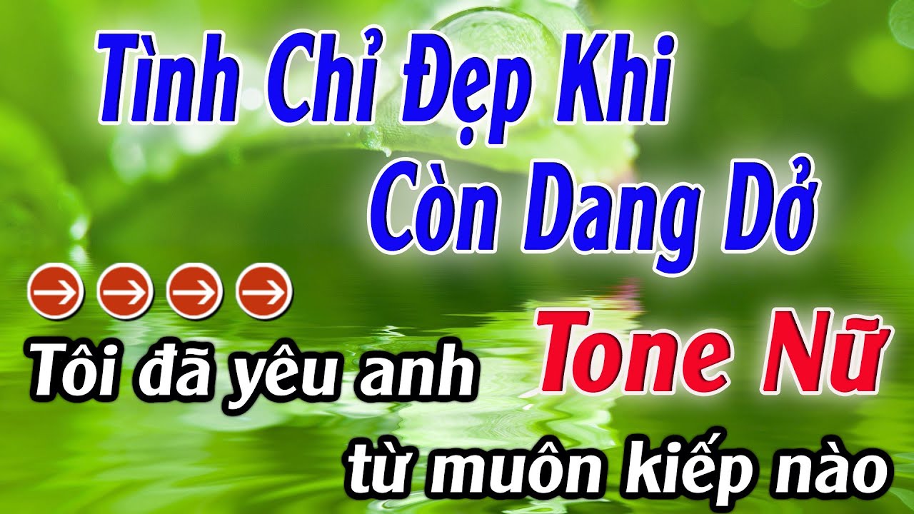 Karaoke Tình Chỉ Đẹp Khi Còn Dang Dở Karaoke Tone Nữ Beat Hay Nhất 2025 Karaoke Mê Nhạc Sống